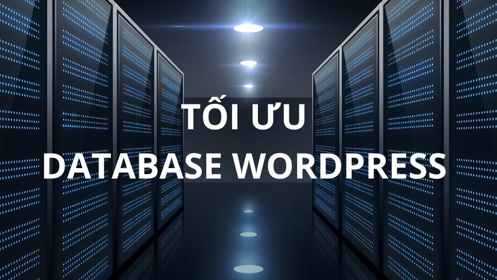 Plugin tối ưu hoá cơ sở dữ liệu tốt nhất cho WordPress